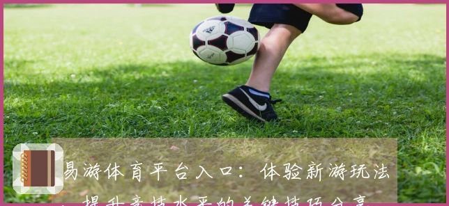 易游体育平台入口：体验新游玩法，提升竞技水平的关键技巧分享