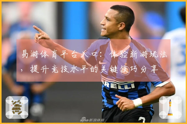 易游体育平台入口：体验新游玩法，提升竞技水平的关键技巧分享