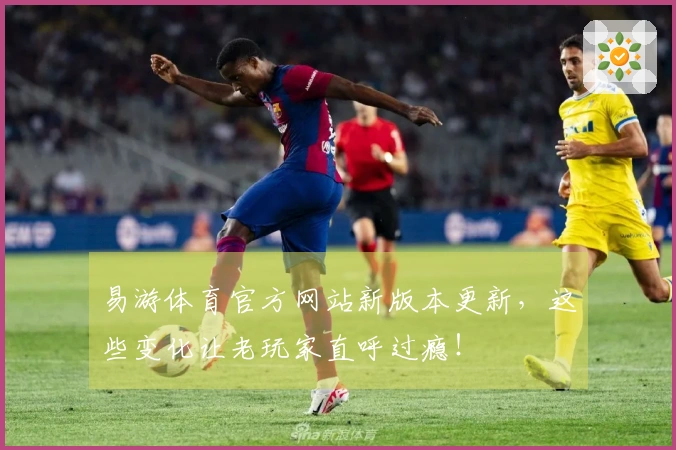 易游体育官方网站新版本更新，这些变化让老玩家直呼过瘾！