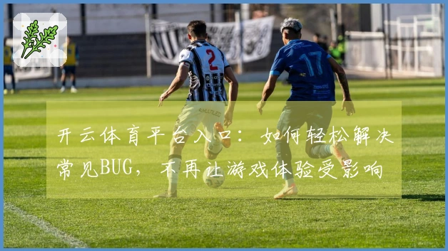 开云体育平台入口：如何轻松解决常见BUG，不再让游戏体验受影响